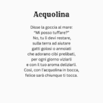 Acquolina - immagine 3
