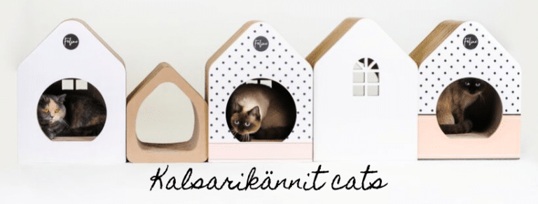 Kalsarikännit cats
